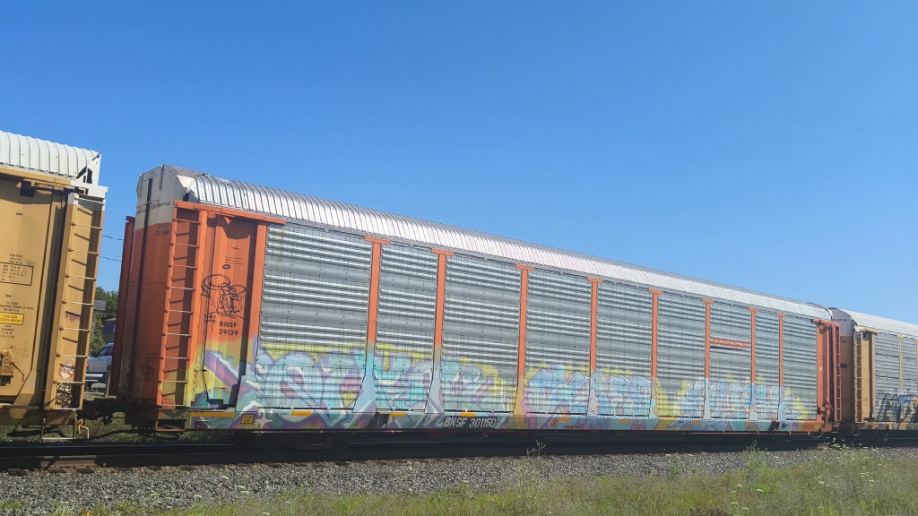 BNSF 29139 (Body) BNSF 301159 (Flat)